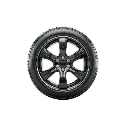 Multi-Spoke Wheel With Tire